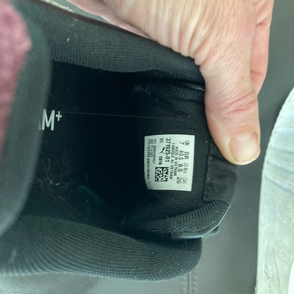 Pumas - Picture 4 of 4